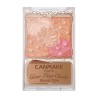 Canmake Tokyo Glow Fleur Cheeks Blend Type | StoreJPN pallet of 4 eye shadows